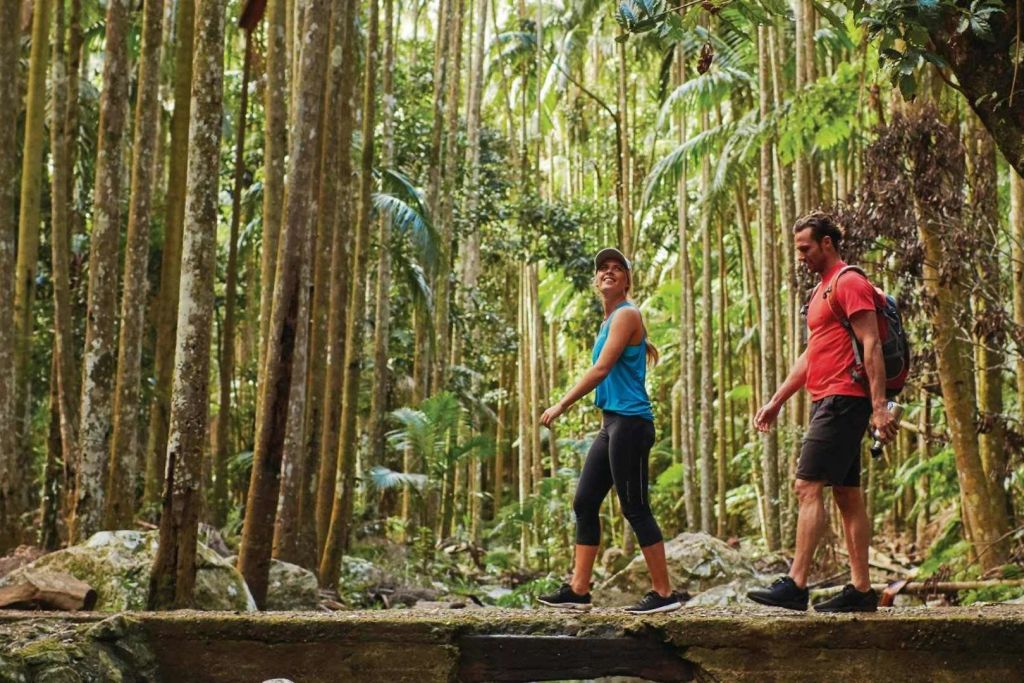 홉온홉에 가입하고 짧은 도보 여행 즐기기