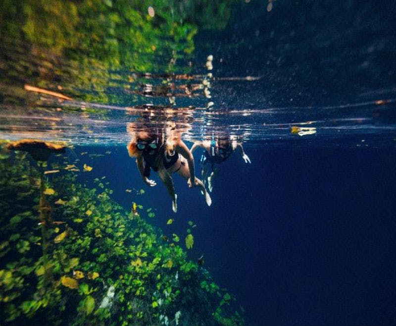 울창하고 푸른 수중 환경 근처에서 스노클링을 즐기는 세 사람, 햇빛이 수면에서 내려옵니다.
