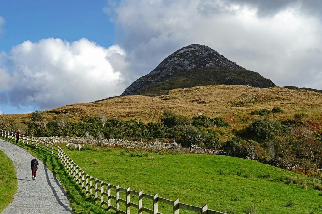 나무 울타리, 관목, 부분적으로 흐린 하늘 아래 산이 있는 풀밭.