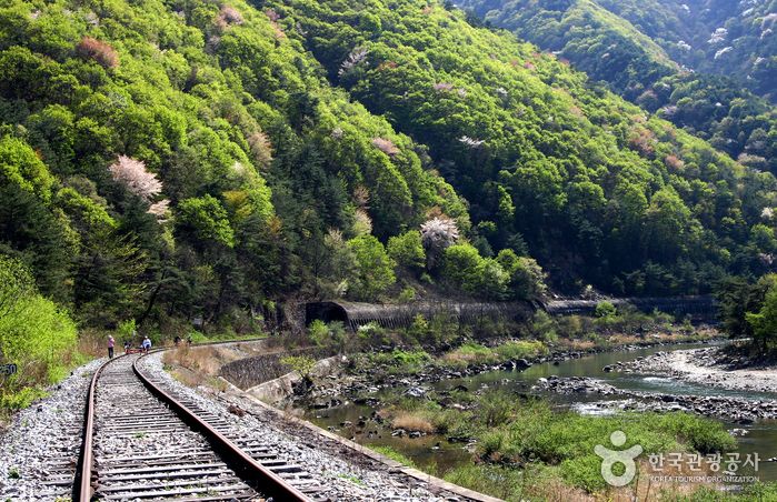문경 철로 자전거 진남역