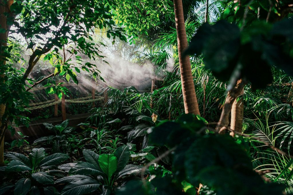 열대우림 오세아니아리오