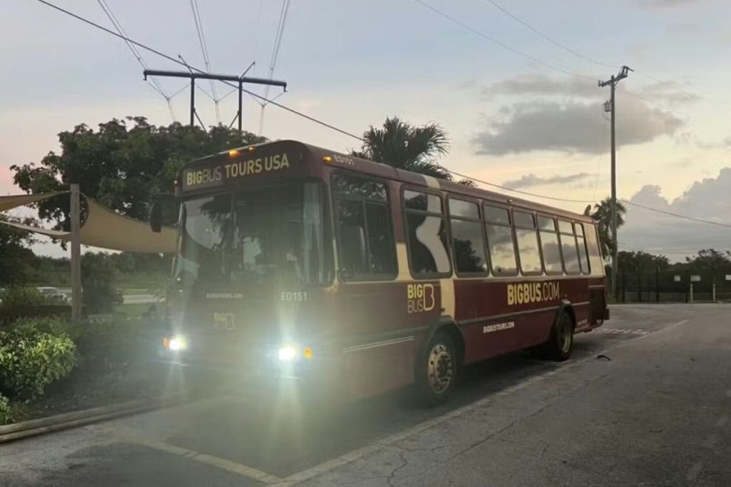 "BIG BUS TOURS USA" 와 "BIGBUS.COM" 브랜딩이 있는 마룬 투어 버스가 황혼의 거리에 주차되어 있습니다.
