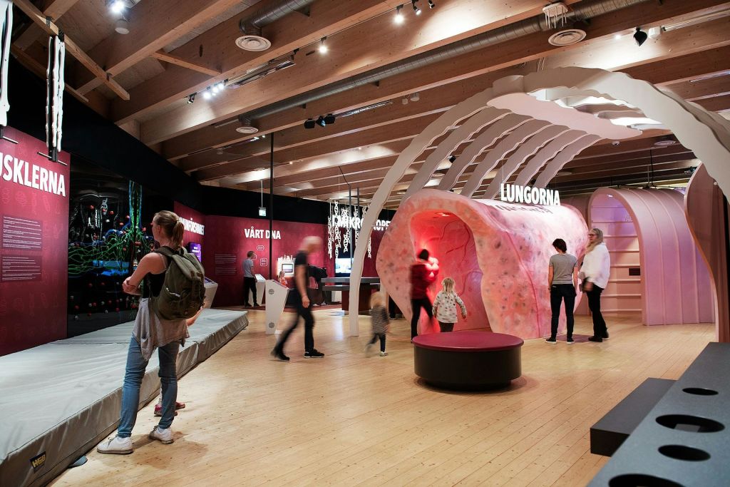 여러 개의 조명이 있는 나무 지붕 아래 대형 인터랙티브 폐 모델을 특징으로 하는 과학 전시회를 탐험하는 사람들.