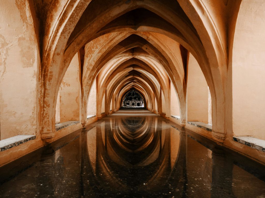 아치형 석조 천장과 아치형 통로는 화려하고 어두운 복도의 스틸 풀에 반사됩니다.