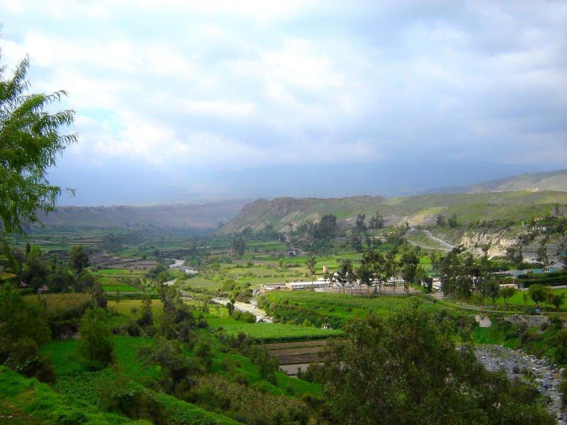 흐린 하늘 아래 흩날리는 나무와 구불구불한 강, 먼 언덕이 어우러진 푸른 계곡.