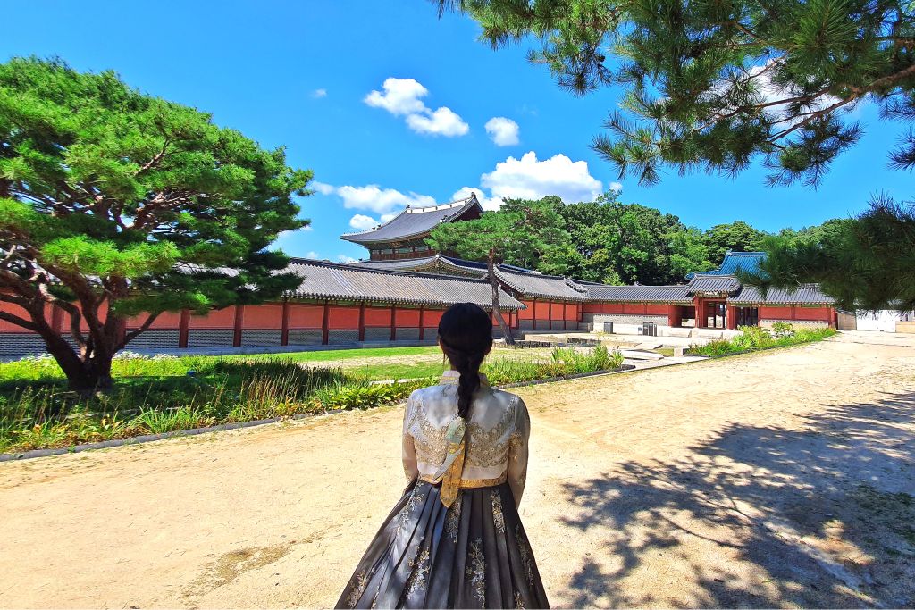  [Japanese Guide] Become a Seoul Master in Just 8 Hours! World Heritage Sites Jongmyo & Changdeokgung + Hanbok Experience + Seosulla-gil + Michelin Bibimbap + N Seoul Tower Octagonal Pavilion + National Museum of Korea