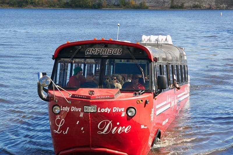 오타와 강을 빠져나오는 양서류