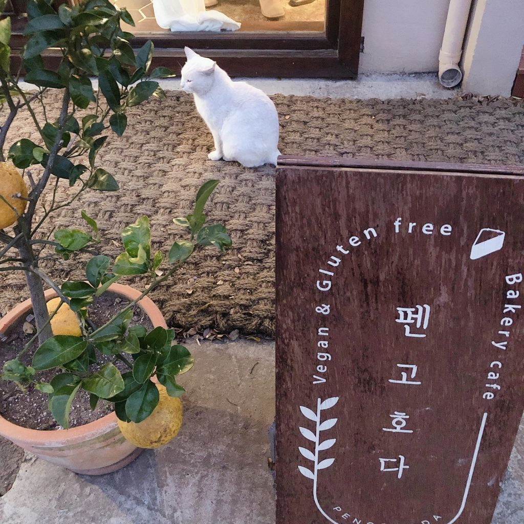 펜고호다