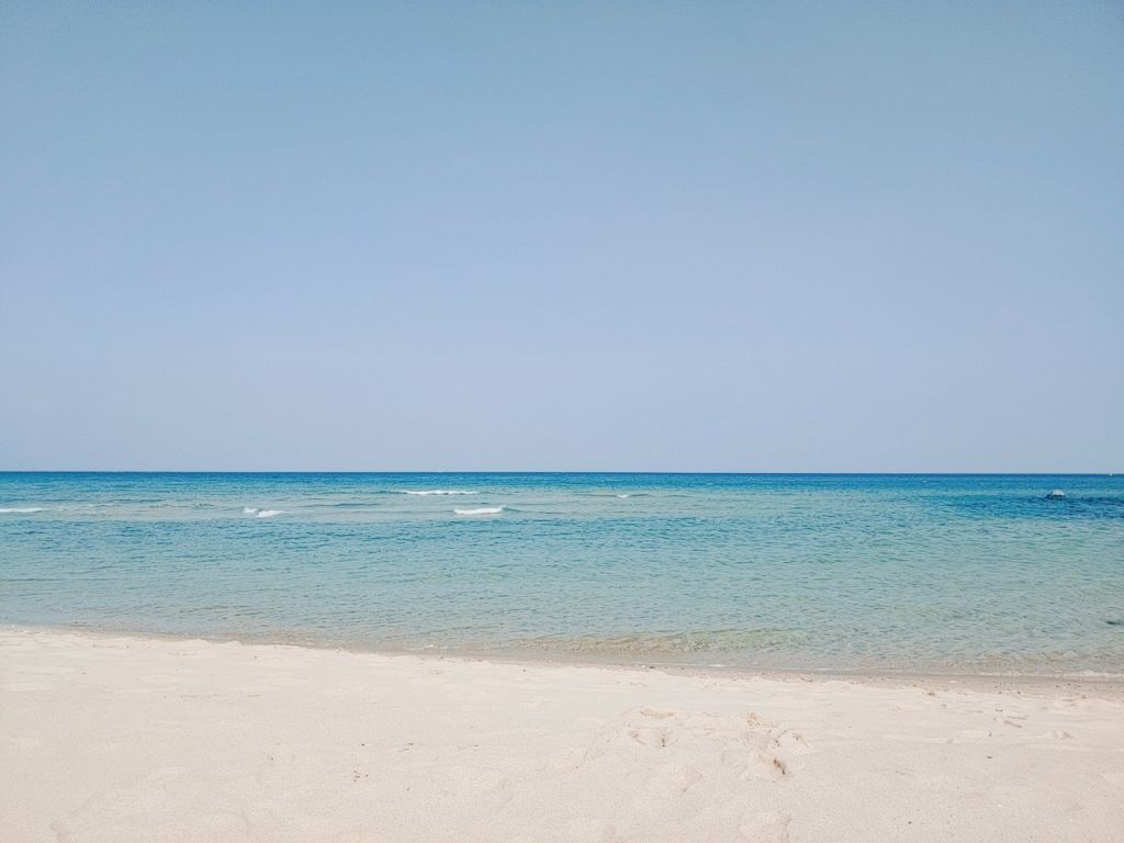 파마씨