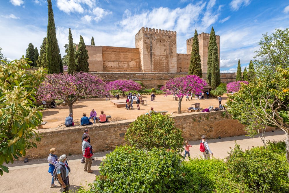 사람들은 자줏빛 꽃이 피는 나무와 탑을 배경으로 한 유서 깊은 석조 건물이 있는 마당을 거닐며 앉아 있습니다.