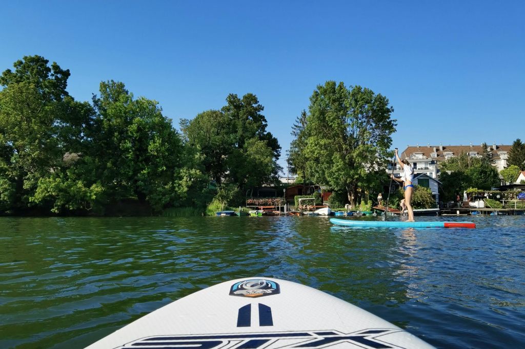 스탠드업 패들보드 타고 옛 다뉴브강 둘러보기