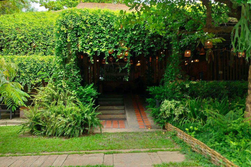 DOI CHAANG Caffè Mae Suai