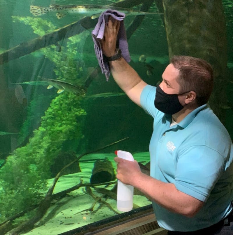 밝은 파란색 셔츠와 검은색 마스크를 쓴 남성이 천과 스프레이 병으로 수족관 유리를 청소하고 있습니다.