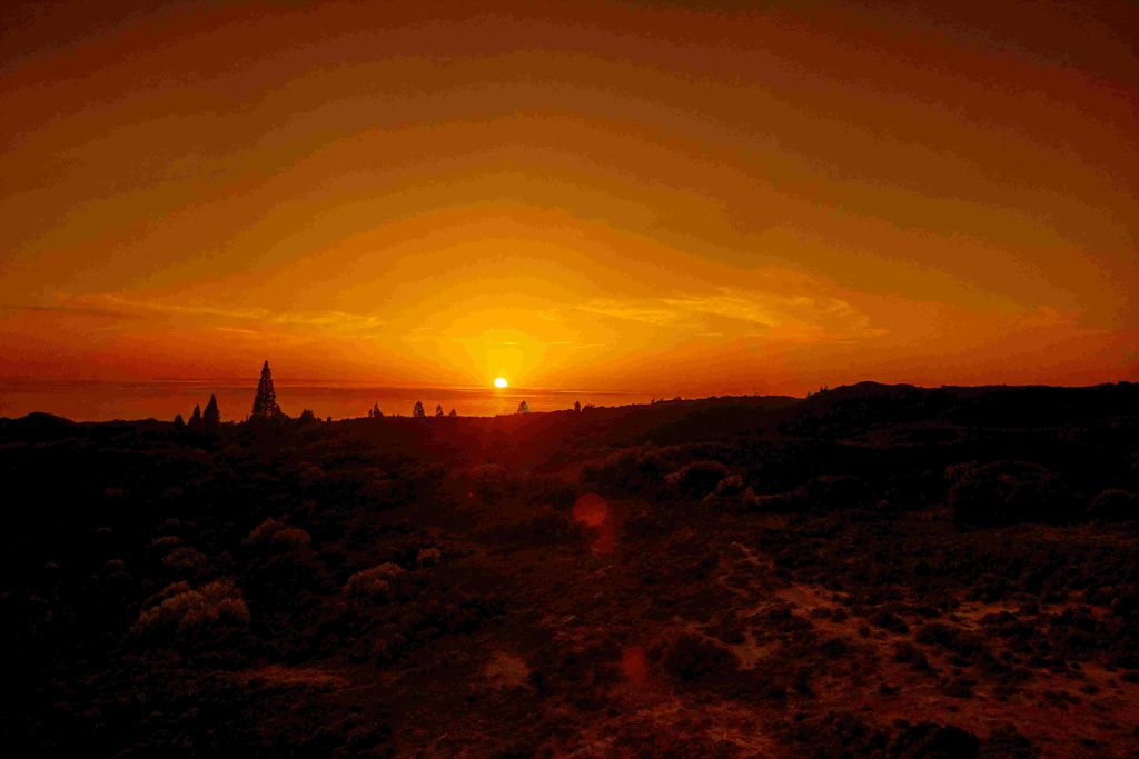 실루엣의 나무와 오렌지색 하늘이 어우러진 언덕 위의 생생한 석양.