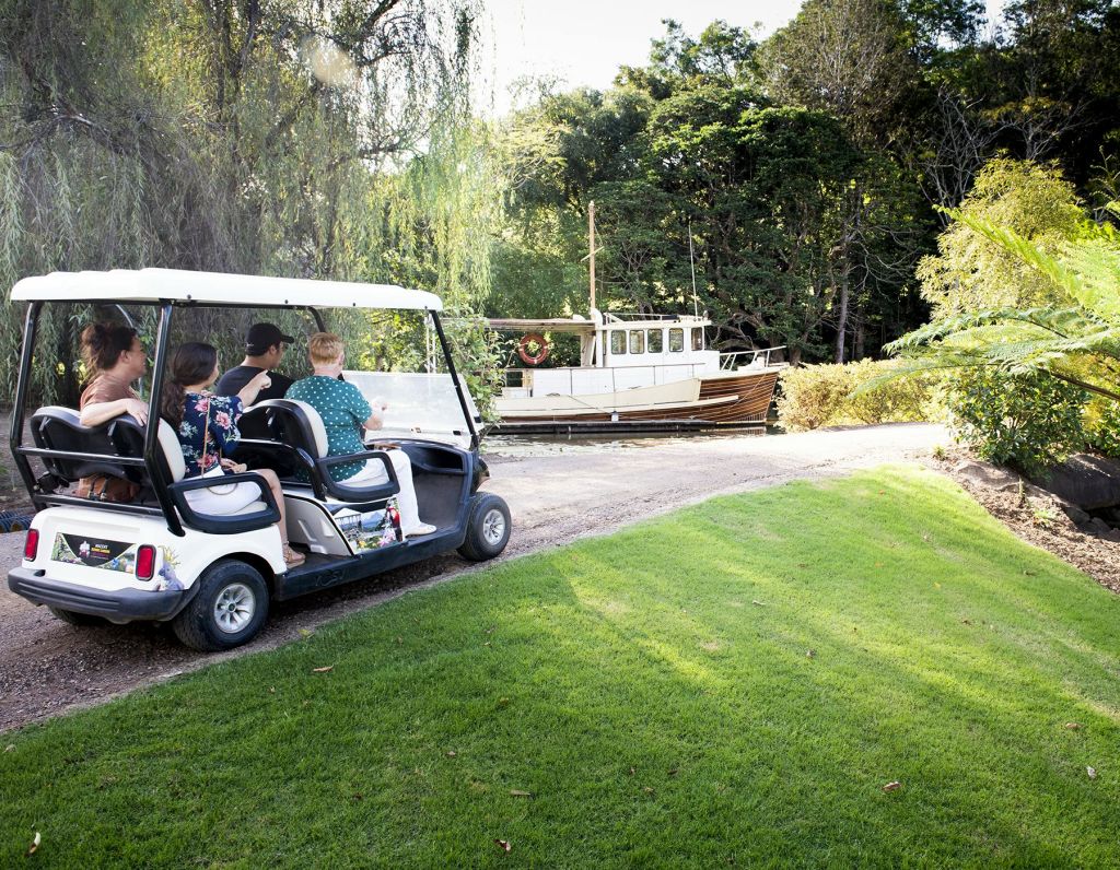 푸르름이 우거진 잔디밭 근처의 길에서 소수의 사람들이 골프 카트를 타고 하얀 보트와 빽빽한 나무를 배경으로 골프를 즐기고 있습니다.