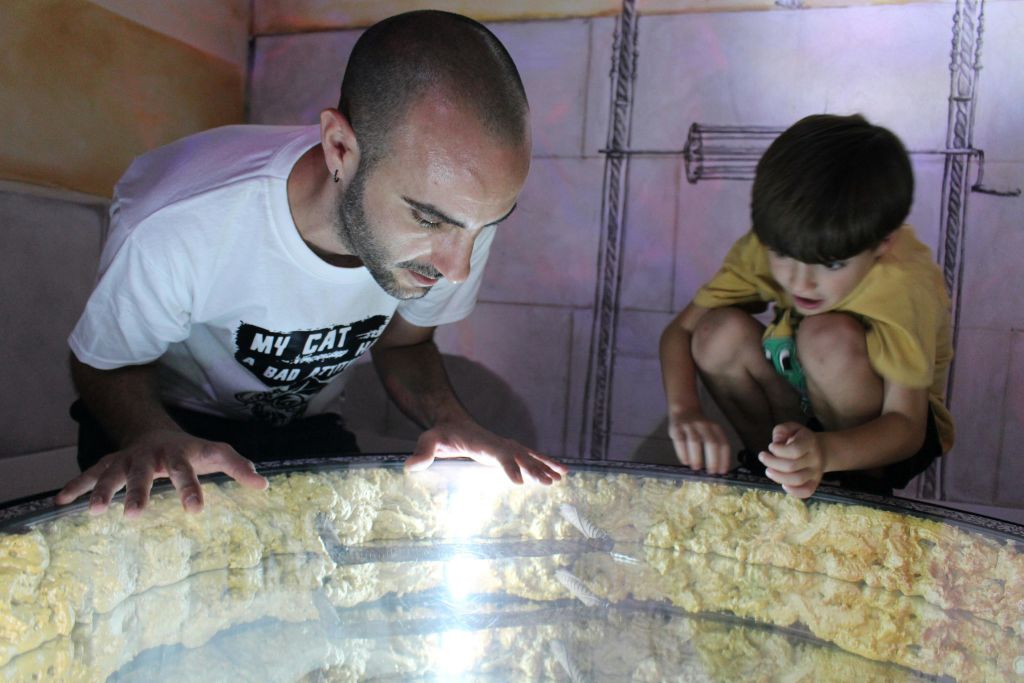 한 남자와 소년이 유리로 덮인 디스플레이 안에 있는 것에 흥미를 느끼며 조명된 표면을 면밀히 살펴보고 있습니다.