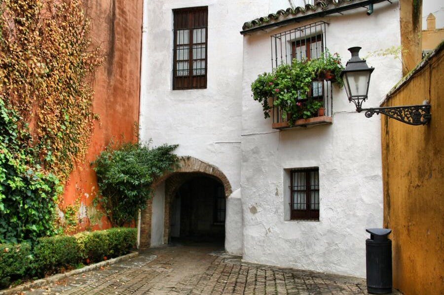 유대인 지구의 많은 구절 중 하나