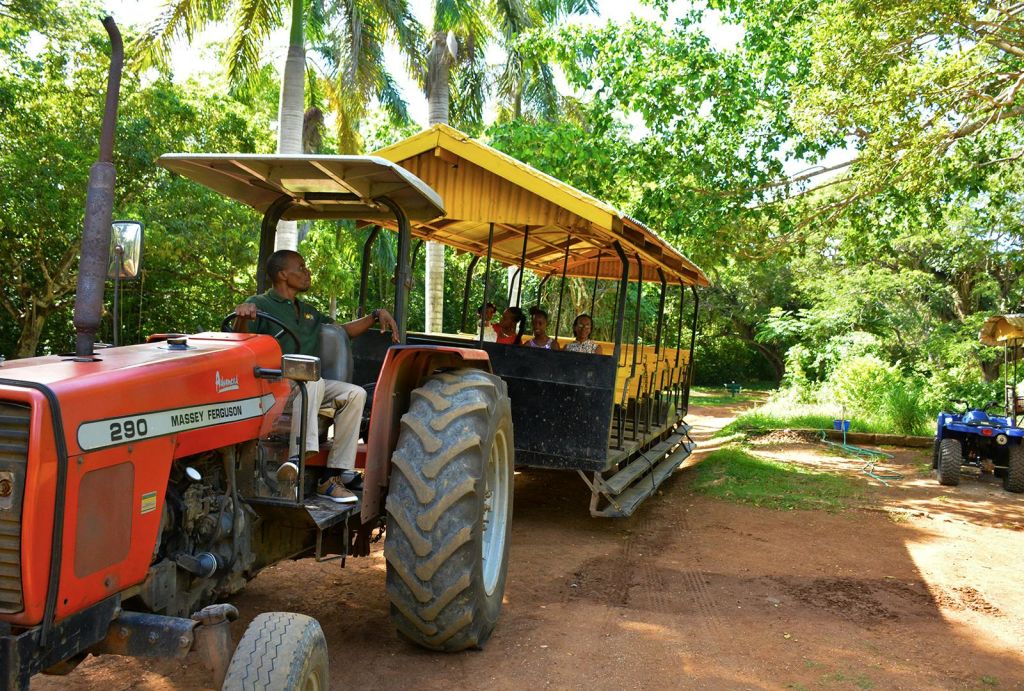 한 남성이 빨간색 트랙터를 몰고 앉아 있는 승객들과 함께 노란색 야외 트램을 끌고 울창하고 푸른 풍경을 감상합니다.