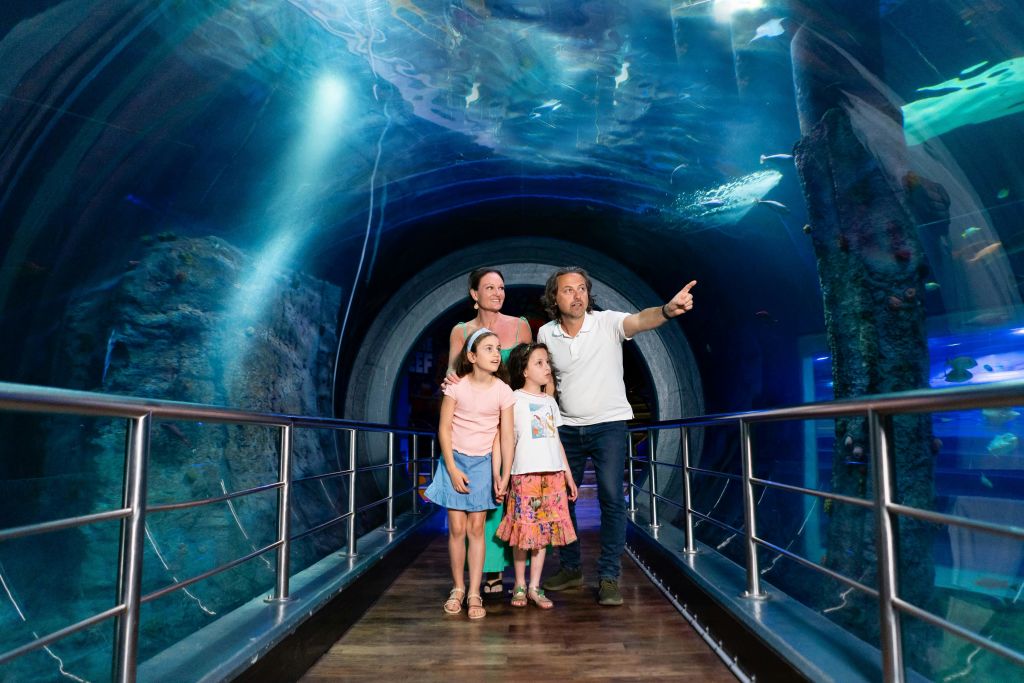 4인 가족이 수족관 터널 안의 다리에 서 있으며, 아버지는 위의 해양 생물을 가리키고 있습니다.