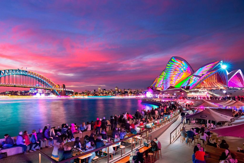 프리미엄 비비드 크루즈