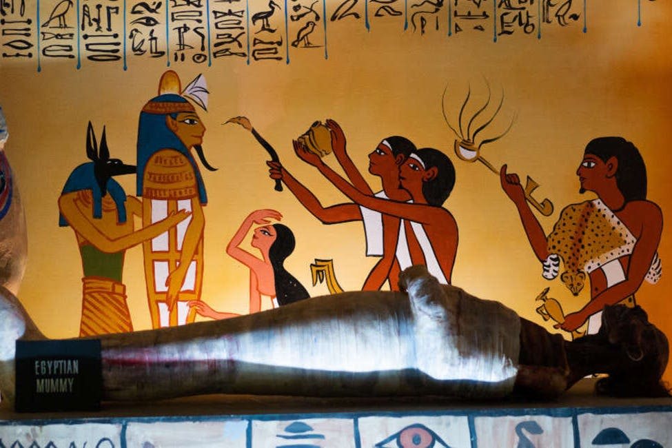 골드 코스트 왁스 뮤지엄