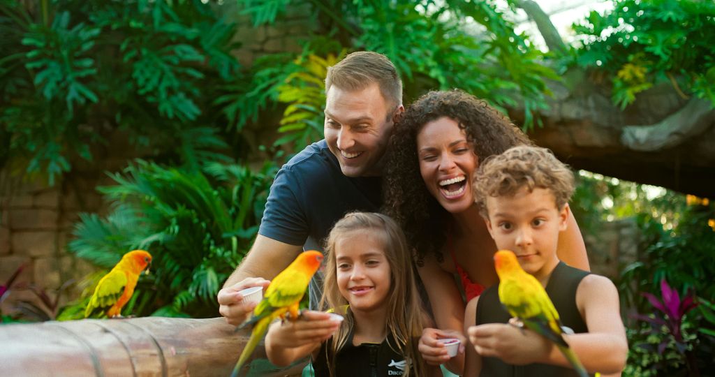 4명의 가족이 미소를 지으며 작은 컵을 들고 울창한 녹색 환경에서 밝은 노란색 오렌지색 새 2마리를 먹입니다.