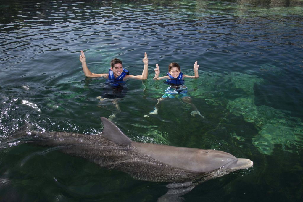 구명조끼를 입은 두 사람이 물속에서 수영을 하고 있습니다. 두 사람 모두 팔을 들어 올리고 있으며, 돌고래가 앞을 헤엄치고 있습니다.