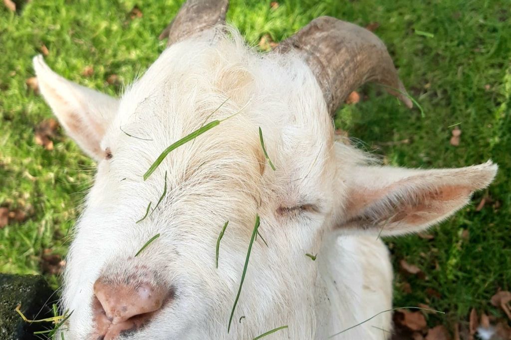 좀 더 귀여워질 수 있을까?