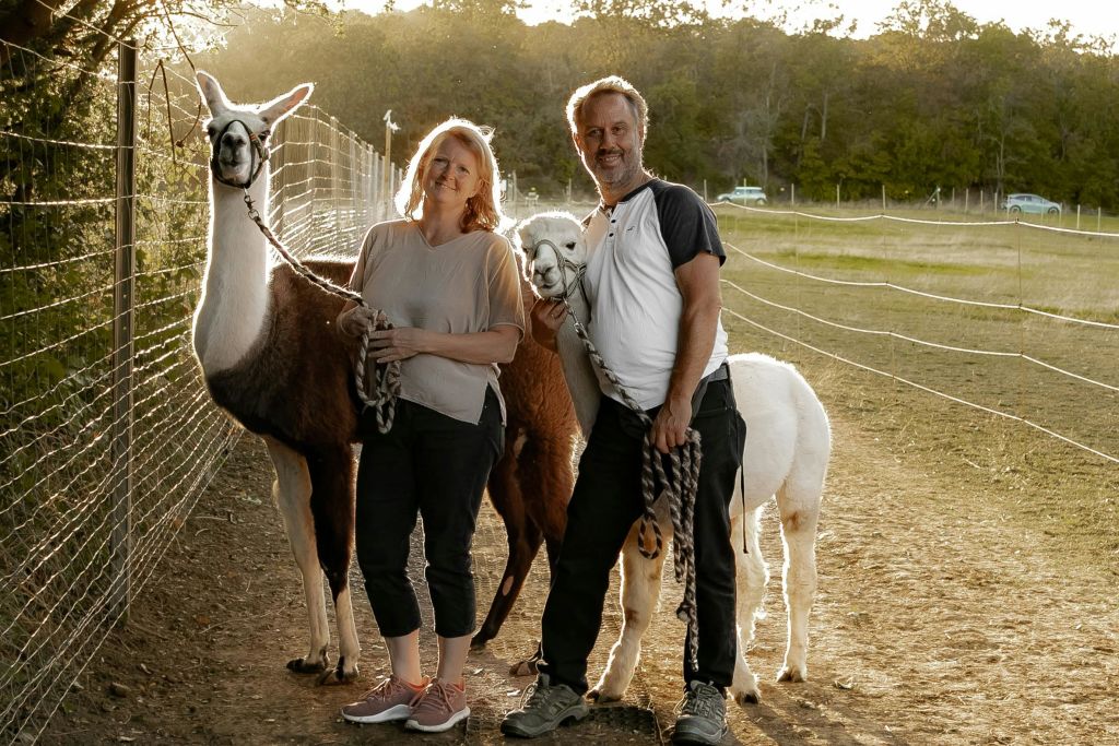 라마 샘과 알파카 간달프
