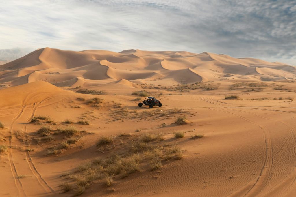 모래언덕에서 버기 사파리 즐기기