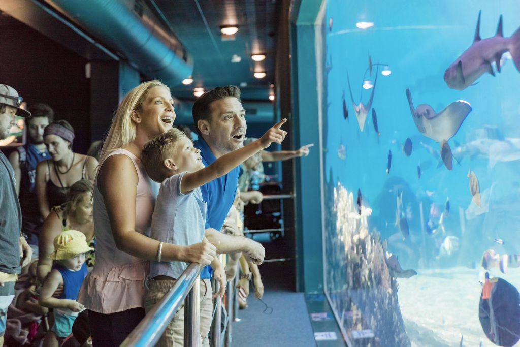 한 가족이 수족관 창문을 통해 신나게 해양 생물을 관찰하고, 다른 방문객들은 배경을 관찰합니다.