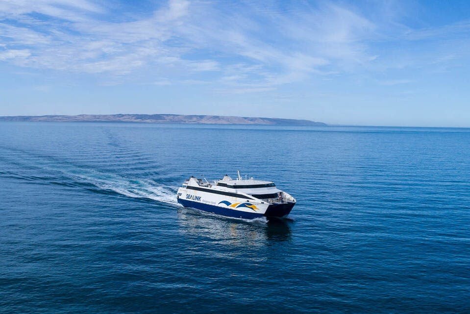 캥거루섬 일일 투어