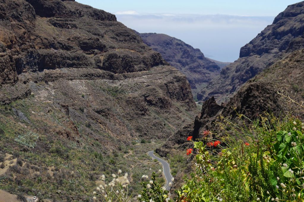 드넓은 초목과 산맥을 배경으로 험준한 협곡을 가로지르는 구불구불한 도로. 앞쪽에 붉은 꽃이 핀 덤불.