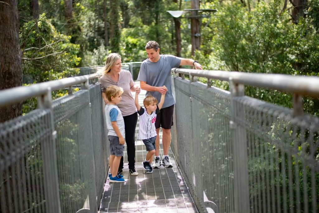 울창한 녹음으로 둘러싸인 금속 다리를 따라 4인 가족이 함께 걷고 있습니다.
