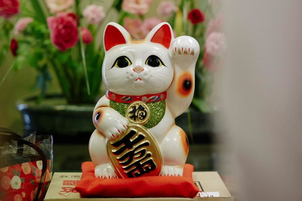 흔들고 있는 고양이