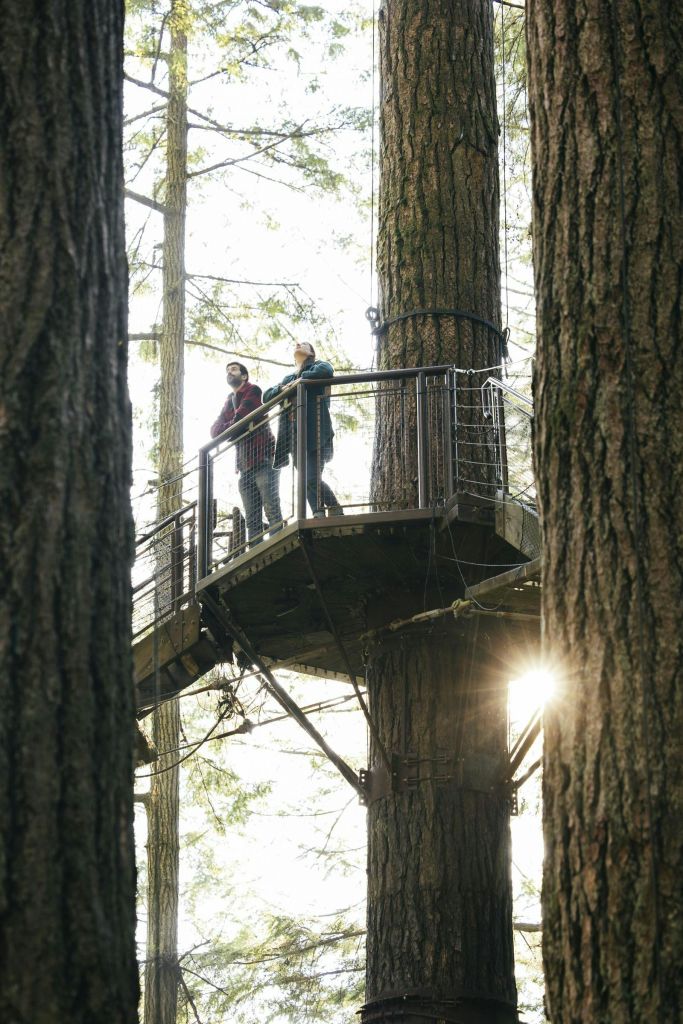 캐필라노 서스펜션 브리지 공원