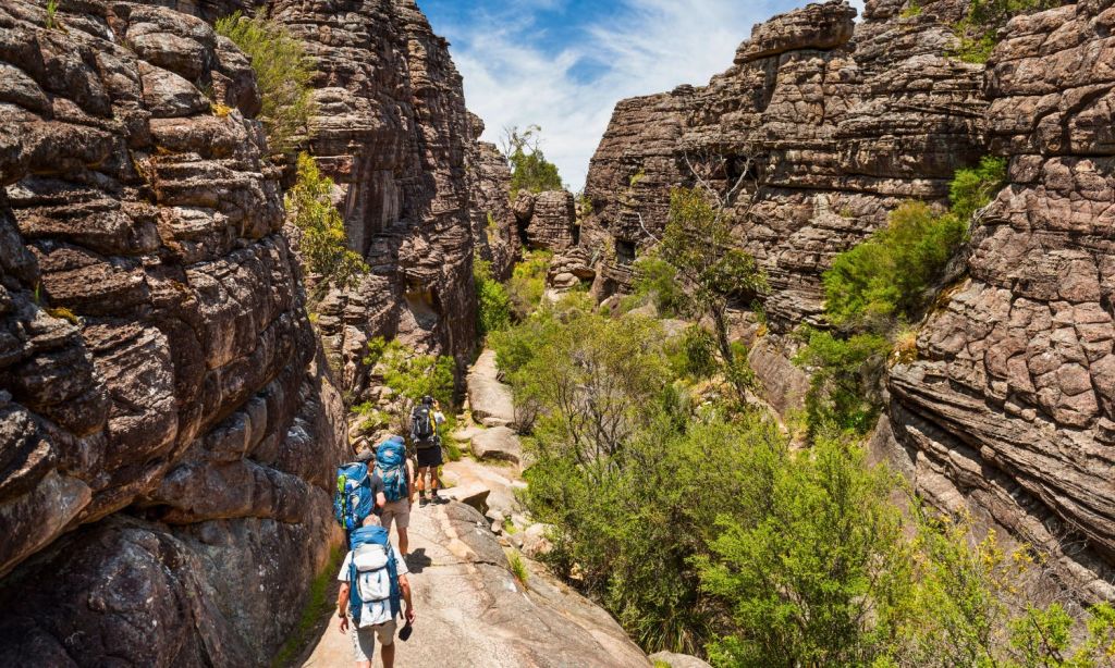 푸른 하늘 아래 녹음이 우거진 바위 협곡을 걷는 세 명의 등산객.