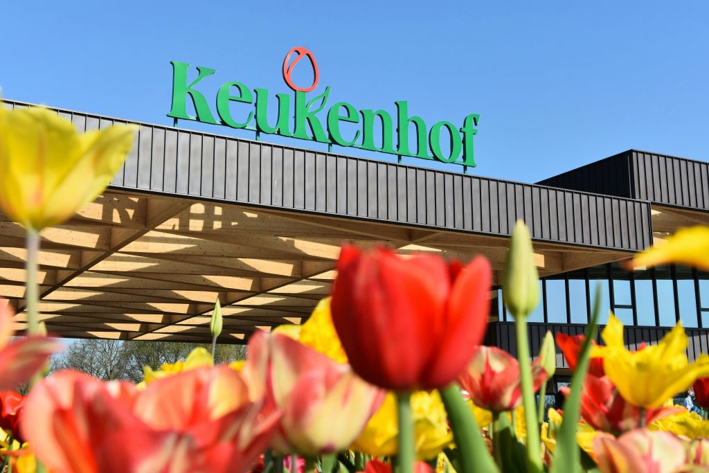 맑고 푸른 하늘에 초록색 글씨로 '쾨켄호프 (Keukenhof)' 라고 적힌 건물 표지판이 있는 화려한 튤립이 눈앞에 펼쳐집니다.
