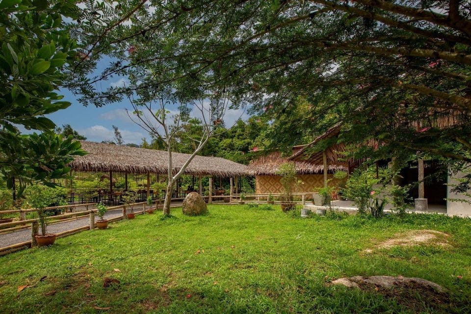 Natural green space and elephants