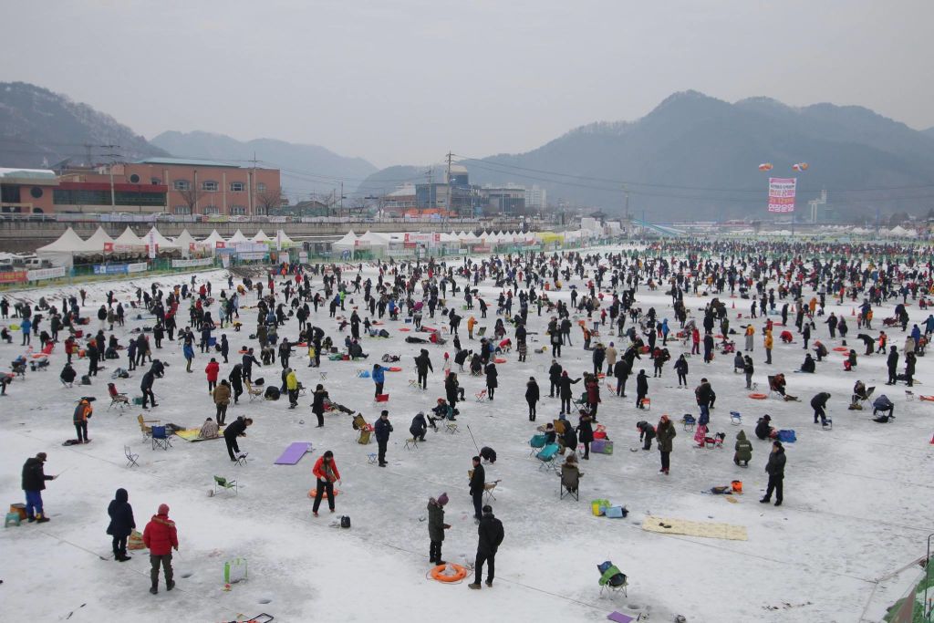 화천 산천어 축제
