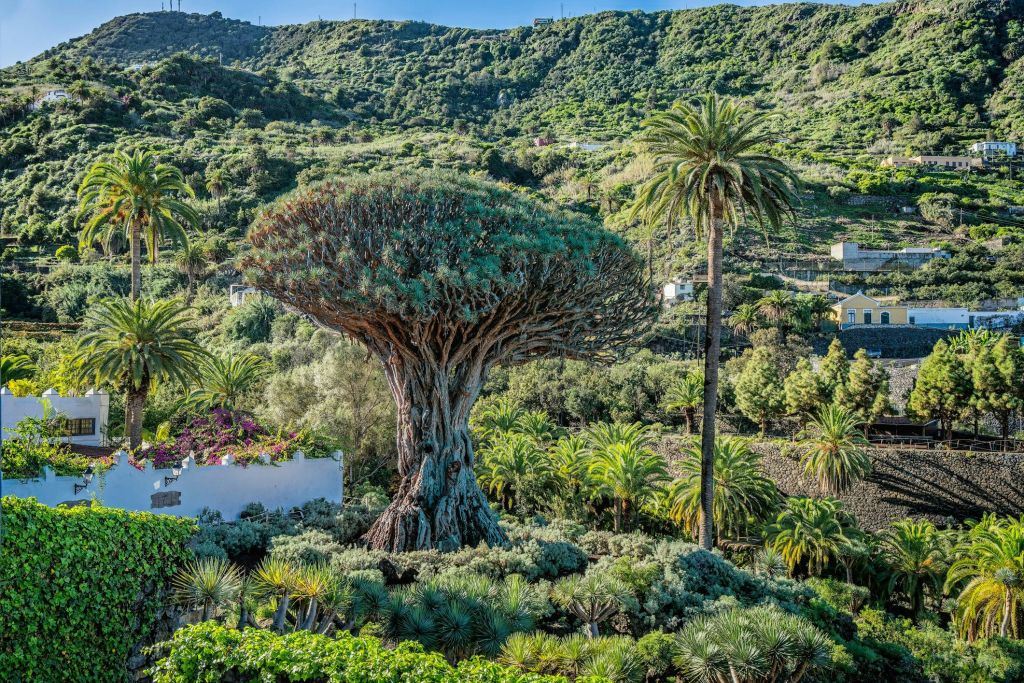 밀레니얼 드래곤