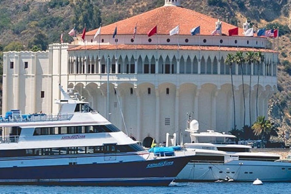 카탈리나섬 당일 여행 (호텔 교통편 제공)