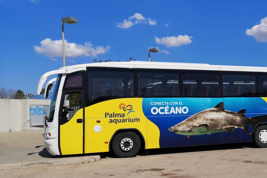 팔마 아쿠아리움 이동