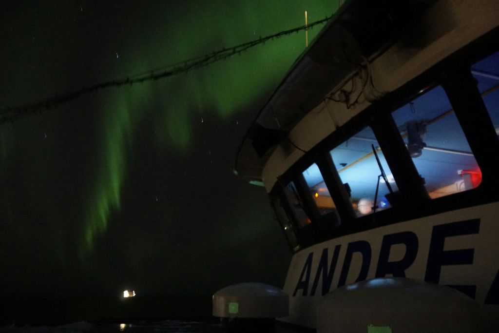 북극광 아래에서 즐기는 보트 투어