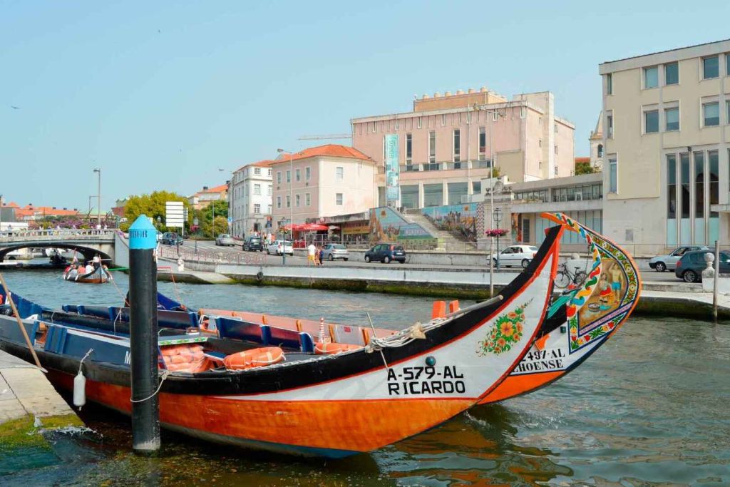 Aveiro: 몰리세이루 전통 보트 크루즈
