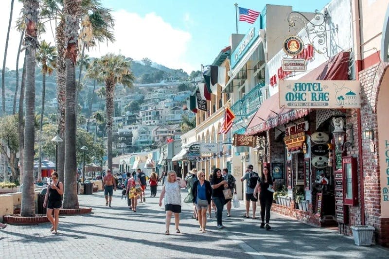 카탈리나섬 당일 여행 (호텔 교통편 제공)