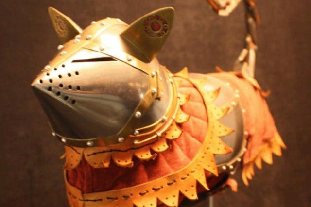 리플리스 아쿠아리움 오브 머틀 비치 + 추가 명소 2곳 콤보