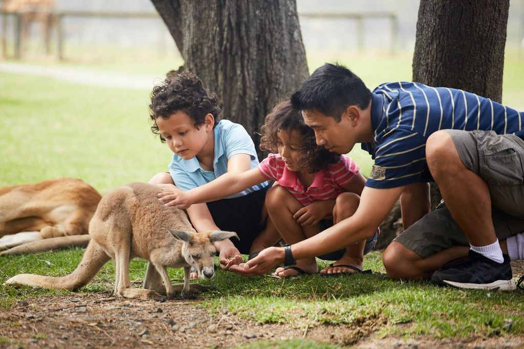 오크베일야생동물공원