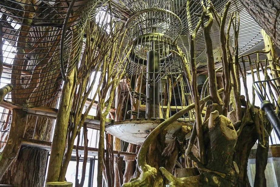 금속 케이지, 원형 프레임 및 얽힌 나무 가지가 있는 복잡한 구조로 미로 같은 실내 장면을 연출합니다.