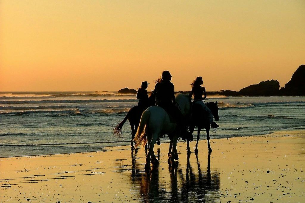 승마 투어 (2시간) - 태양과 바다 (교통편 제공) - 후르가다